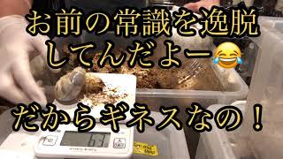 巨大パラワン幼虫が続々登場‼️