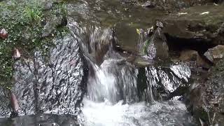 【水音】きれいな水 美しい沢の音　[Water sound] Clean water Beautiful stream sound