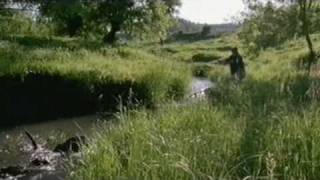 BBC - Natural World - Mississippi, Tales of the Last River Rat-3.avi