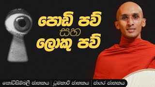 210. ලොකු පව් සහ පොඩි පව් | කෝටසිම්බලී ජාතකය | නුවණ වැඩෙන බෝසත් කතා | 2023-12-22