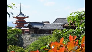 NHK「ブラタモリ #69京都・清水寺」が再放送された4日前、誰もいない京都清水寺へ行ってみた！読売テレビ取材斑との遭遇～大自粛スペシャル！京都三年坂・清水寺、地主神社編　2020 5 13