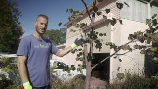 How to perform structural pruning