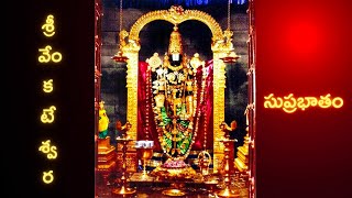 Sri Venkateshwara Suprabhatham🙏