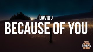 David J - Because of You (Lyrics) it's the way we talk all night till 3