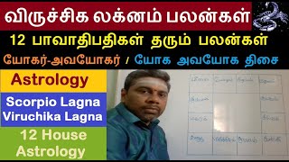 விருச்சிக லக்னம் பலன்கள் | Scorpio Lagna Palangal | 12 பாவாதிபதிகள் பலன்கள் | 12 House Astrology