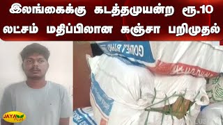 இலங்கைக்கு கடத்தமுயன்ற ரூ.10 லட்சம் மதிப்பிலான கஞ்சா பறிமுதல் | Srilanka | Kanja | Thoothukudi