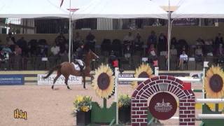 HorseJunkiesUnited.com - Katie Dinan and Nougat du Vallet WEF3 Grand Prix