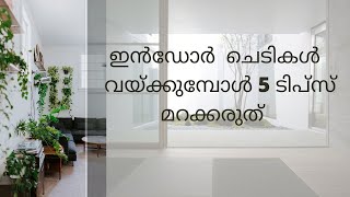 ഇൻഡോർ പ്ലാന്റ്സ് വയ്ക്കുമ്പോൾ ഈ കാര്യങ്ങൾ മറക്കരുത് /ഇന്റീരിയർ അടിപൊളി ആക്കാം /interior tips