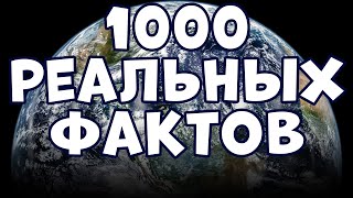 1000 РЕАЛЬНЫХ ФАКТОВ, КОТОРЫЕ ВАС ПОРАЗЯТ