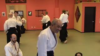 Charles Tseng Midwest Aikido Bridge Seminar 2017