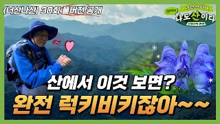 [풀버전] 야생화, 계곡, 윤슬, 단풍... 볼 것 가득한 무명산 | 고성 마산봉