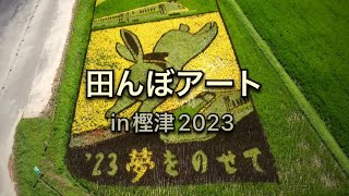 田んぼアートin樫津2023（福井県越前町）