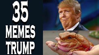 35 memes TRUMP