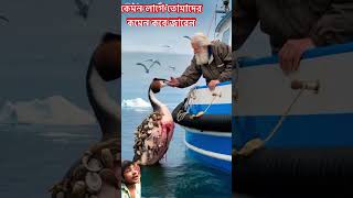 কেমন লাগে তোমাদের কমেন্ট করে জাবেন #animals