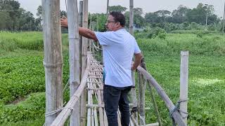 ঐতিহ্যবাহী কেরানীগঞ্জের মিঠাপুর থেকে পূর্ব আকসাইল সাকু