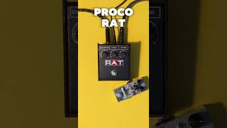 ProCo RAT vs Wampler Ratsbane