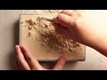 ASMR No talking dinosaur excavation kits: dig it up by digging, scraping, and brushing.
