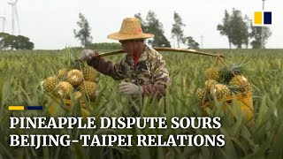 Pineapple bumper harvest hailed in China as Beijing bans imports of the fruit from Taiwan