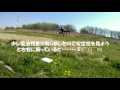 ３dr solo 初フライト　 3