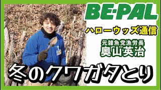 【生き物と遊ぼう！】ハローウッズ通信　冬のクワガタとり