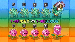 1-4阶龙舌兰VS1-4阶玫瑰剑客！谁才是真正的剑圣？