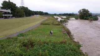 多摩川（日野橋付近）の増水 2017年10月23日 台風21号