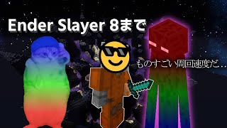 【Hypixel SkyBlock】Ender Slayer Level8まで