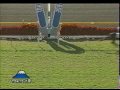 スルーザワールド新馬戦 2000年 岡部幸雄