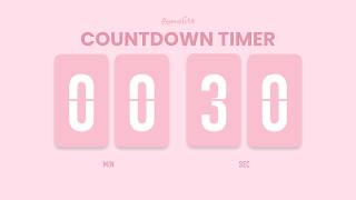 🌸 Pink Focus Timer | 30-Second Countdown Timer ⏳ | Minimal Flip Clock