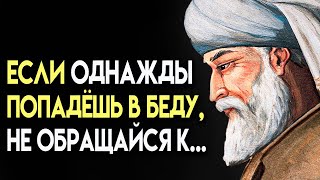 30 коротких, но точных советов Джалаладдина Руми. Эти слова стоит запомнить навсегда!