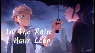 Miraculous Tales Of Ladybug \u0026 Chat Noir {In The Rain} ||1 Hour Loop||