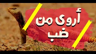 الأمالي | الحلقة 33: أروى من ضب