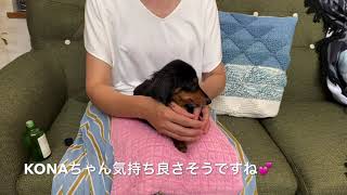 『キラキラ✨ナッキーのペット🌈アロマ講座』〜マッサージのポイント〜　ワイルアCh.