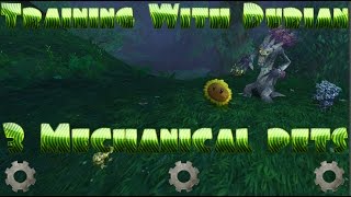 Durian Strongfruit 3 Mechanical Pets | Family Familiar | Roboteer | Legion Achievement