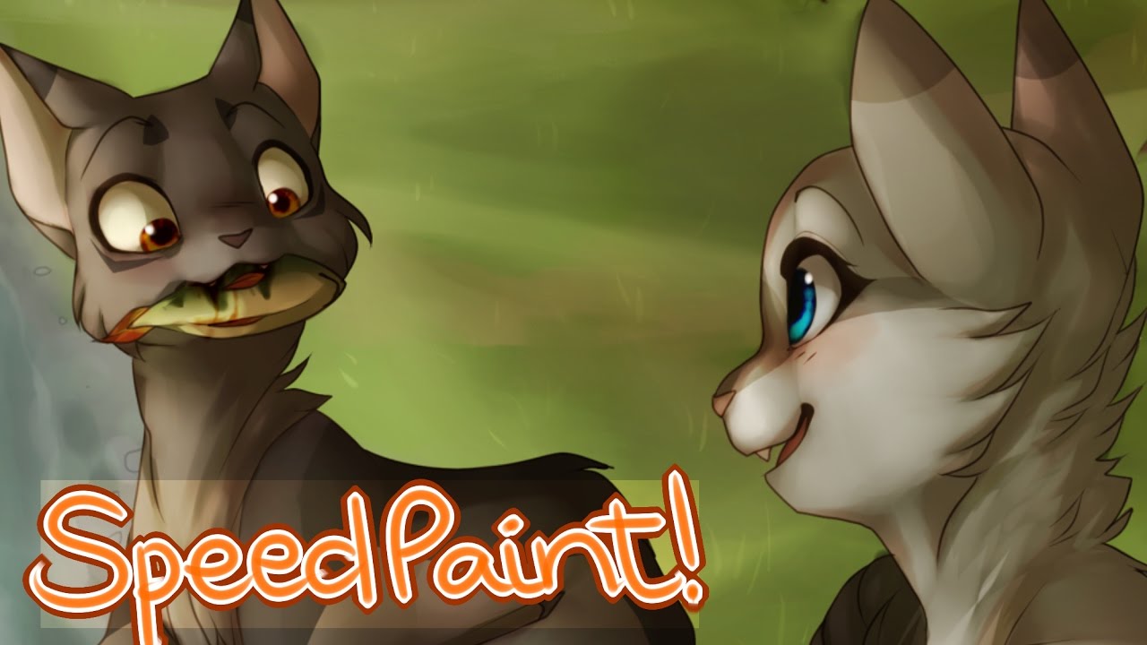 Speedpaint Graystripe Silverstream Youtube