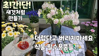 녹슨 가드닝용품 10분만에 뚝딱!새것으로 만드는 방법/오월의 예쁜정원/아파트 베란다정원