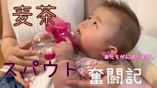 気づいたらもう５ヶ月だった！スパウト＆ベビー麦茶に挑戦｜5-month baby tried to practice drinking water with a spout