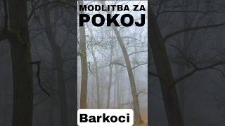 Inšpirácia pre vlastnú krátku modlitbu za pokoj.