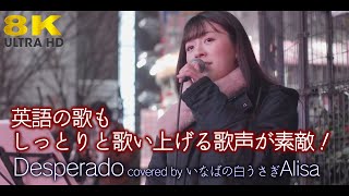 【8K】英語の歌もしっとりと歌い上げる歌声が素敵です！Desperado（cover）\