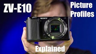 Sony Picture Profiles Explained - with the ZV-E10