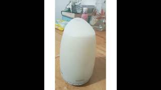 Victsing Humidifier