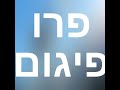 השכרת פיגום עם תקן אירופאי