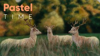 Fallow Deer Wildlife Art in Soft Pastel - Timelapse