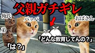 温厚な父親が近所のおばさんにブチギレてしまいました… #猫ミーム #猫マニ