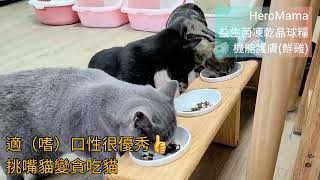 不油的無穀貓飼料推薦！HeroMama益生菌凍乾晶球糧＜機能護膚(鮮雞)＞