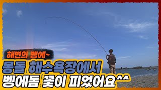 벵에돔 전용 막대찌로 해변가에서 벵에돔낚시 방법 with 호야공방 세주코리아 [울산바다낚시14]