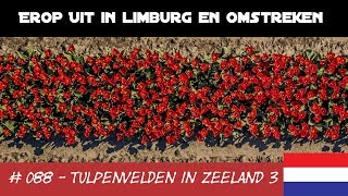 #088 - Erop Uit! - Tulpenvelden in Zeeland - 3 van 3 [drone] / 從天空看到的鬱金香領域 / 空から見たオランダのチューリップ畑