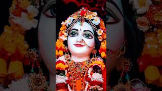 जय जय श्री राधे जू🌹 #radhe #radharani #radheshyam #radheradhe #krishna #vrindavan #barsanewaliradhe