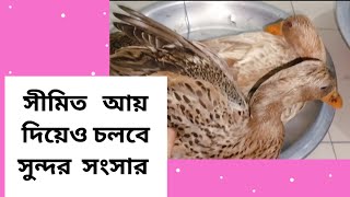 মাত্র  কয়েকটি নিয়মে আপনার  সংসার  হবে সুন্দর