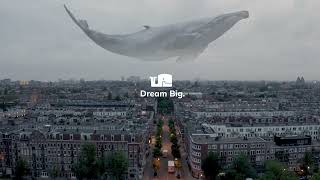 Dream Big - We grow brands - Whello